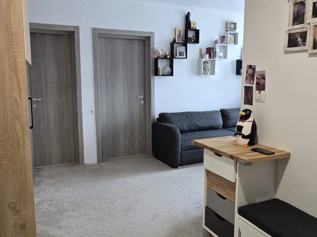 Apartament 3 camere - Visani