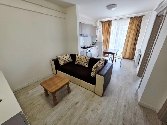 Apartament 2 camere - Bucium