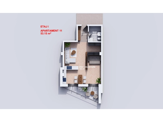 Apartament 1 camere - Bucium