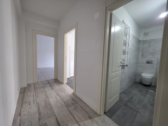Apartament 2 camere - Bucium